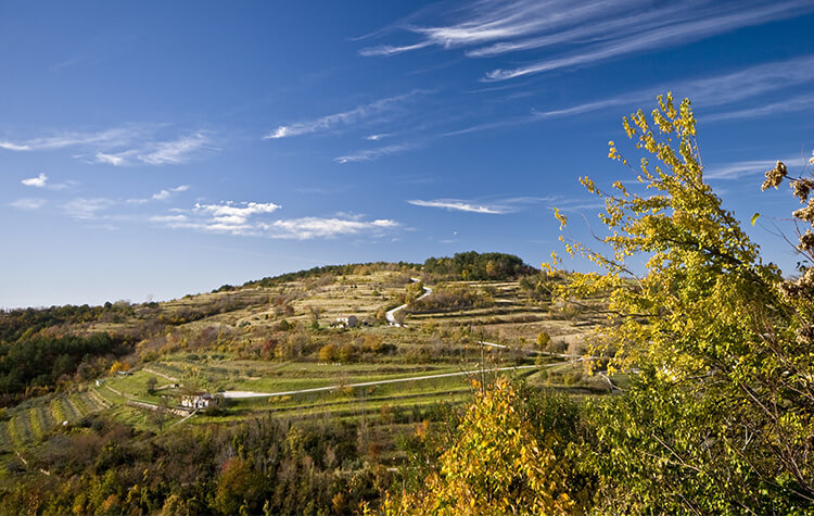 Oprtalj, Istra